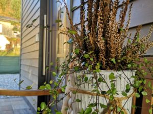 IMG_20201102_162454